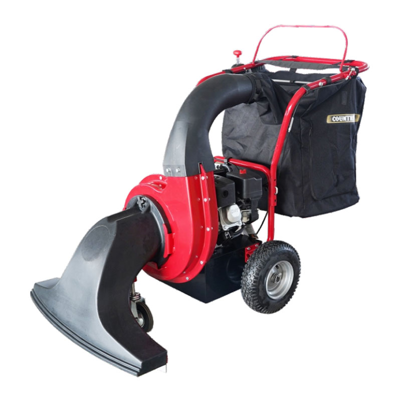 Fholúis Leaf NC6501